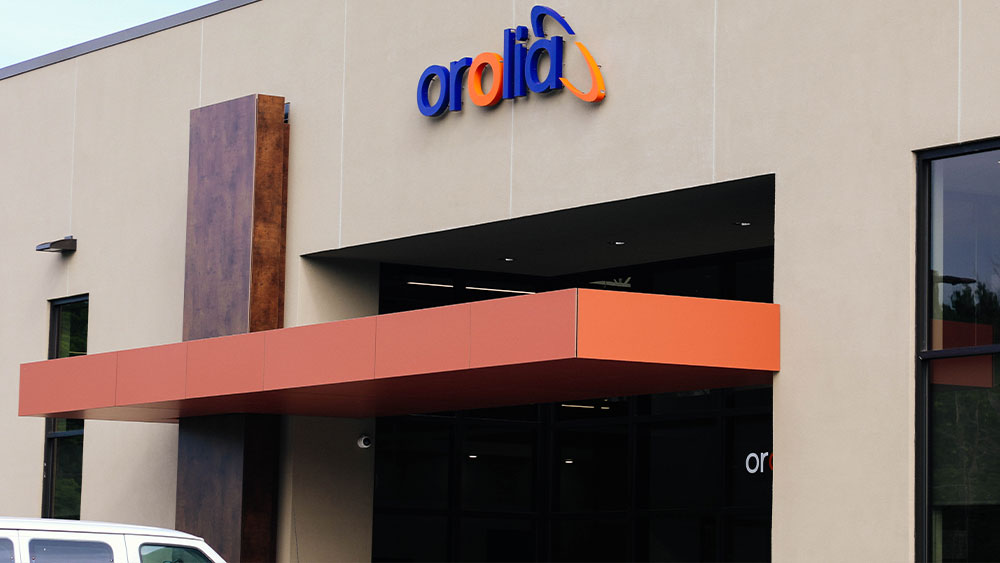 doorspecialtiesprojectsoroliaimage02